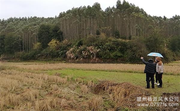 玉溪市陈老师带着爱徒寻龙点穴